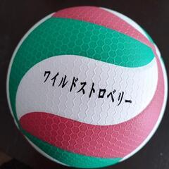 バレーボールやりたい人集まれ〜♪in掛川