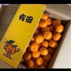 25個(約2キロ) みかん　お安くいかがでしょうか☺️？