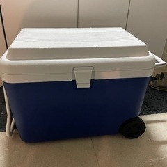 アイスボックスを譲ります！