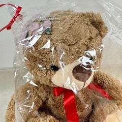 クマさんのぬいぐるみの画像