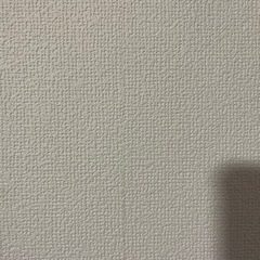 壁紙貼りを助けてくれませんか