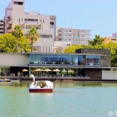 3/3(金)16：00 -  大濠公園≪ROYAL GARDEN...