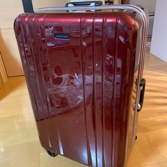 大きいスーツケース