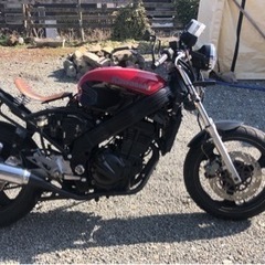 カワサキＺＺＲ250カスタム　最終値下げ