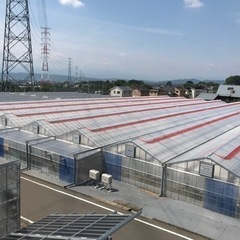 急募❗️ビニールハウス施工作業員さん募集します。の画像