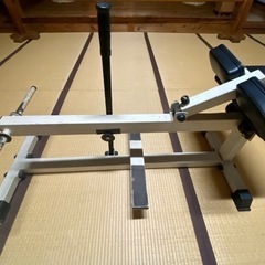 シーテッド・カーフレイズ　マシン