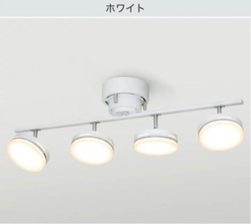 専用