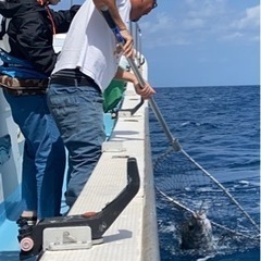 マグロ遊漁船中乗り・マグロ一本釣り漁業乗組員（寮あり）の画像