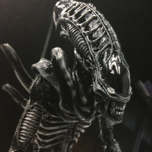 ★HOTTOYS エイリアンウォーリアー　フィギュア