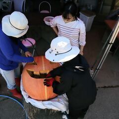奈良市都祁地域での農業支援ボランティア募集。『市民参加型－地域農業支援プログラム－』 - メンバー募集