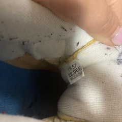 スニーカー　22cmの画像