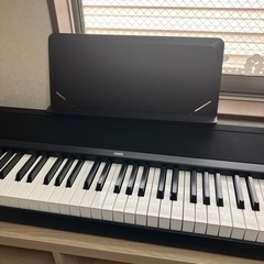 KORG B2N  専用ソフトケース・ヘッドフォン付き