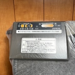 【2畳用】ホットカーペットの画像