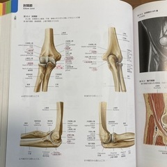 「プロメテウス解剖学コアアトラス」の画像