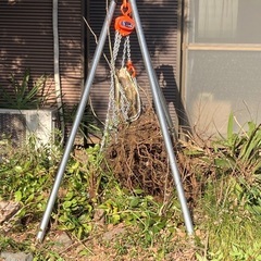 木の根っこを抜いたり
