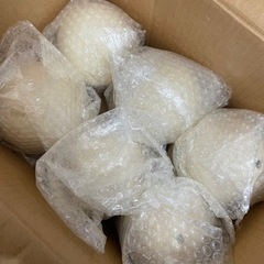 エッグアート　ダチョウたまごの画像