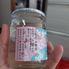 日本酒120ml×８本の画像