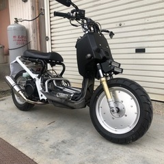 美車 ズーマー zoomar RUCKUS AF58フルカスタム...