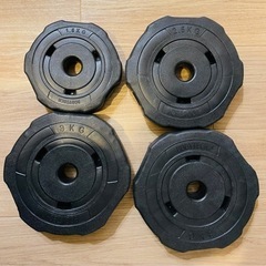 BODYTECH社　ダンベルプレート　40kg分