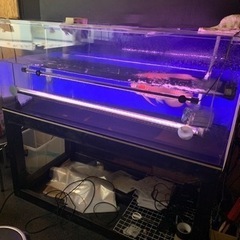 1500水槽　②