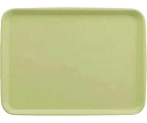 (5883) ③ 中古 三信化工株式会社 エスタートレイ SE-23 長方形 ファンタジックグリーン 30枚 428×318×H19mm 膳 盆 配膳 軽量 プラスチック製 業務用 飲食店 厨房 店舗