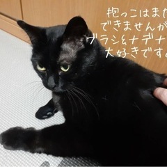 穏やかな女の子です！