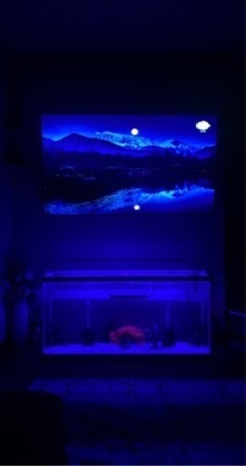 4万円相当水槽セット120cm