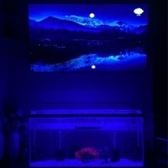 4万円相当水槽セット120cmの画像