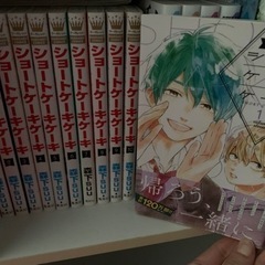 ショートケーキケーキ 11冊 売ります！