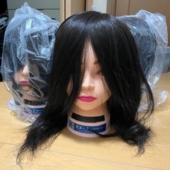 レジーナカットウィッグ 3体