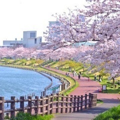 3/25(土)13:00～🌸都内でのどかな風景を楽しむお花見🌸