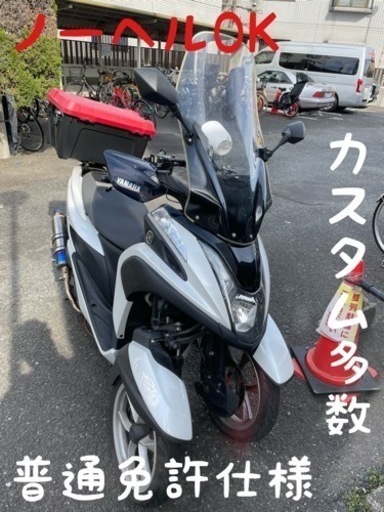 トリシティ125 普通免許で乗れます！