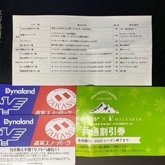 未使用ダイナランド・高鷲スノーパーク共通リフト券一日券2枚おまけ付き