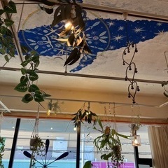 パーソナルヨガ　吉祥寺の画像