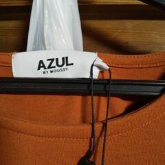 【受け渡し予定】AZULノースリーブカットソーの画像