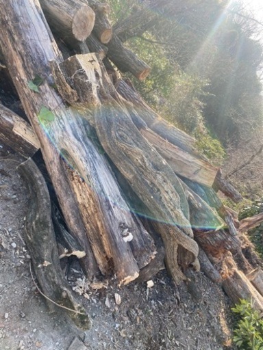 珍しい　藤の木　丸太　マキ