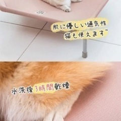ペットベッド　犬猫用　動物の匂い無しの画像