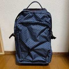 訳ありキャリーバッグ