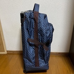 訳ありキャリーバッグの画像