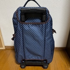 訳ありキャリーバッグの画像