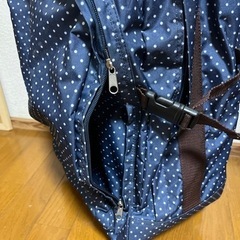 訳ありキャリーバッグの画像