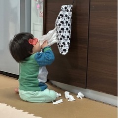 臨時！！看護師、准看護師の画像