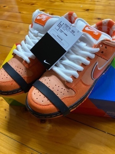 コンセプツ × ナイキ SB ダンク ロー SP 