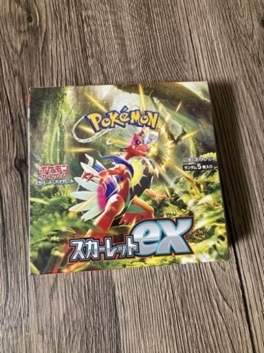 【お取引中】スカ+vユニ