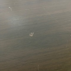 ガラスローテーブルの画像