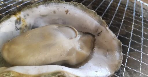 お花見に持っていけば大喝采！ぷりっぷりの広島牡蠣はいかがですか？