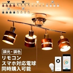 シーリングライト おしゃれ 照明器具 ライト 照明 リビング 北...