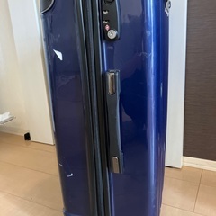 【訳あり】キャリーバッグの画像