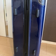 【訳あり】キャリーバッグの画像