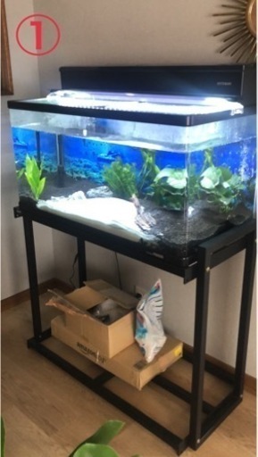 水槽セット